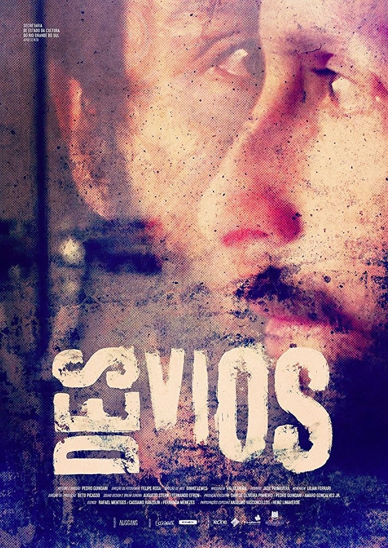 Poster of Desvios