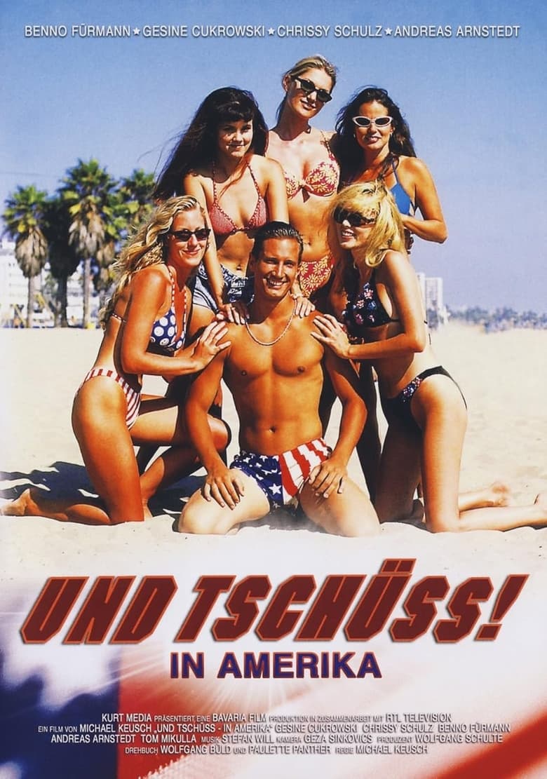 Poster of Und tschüss! In Amerika