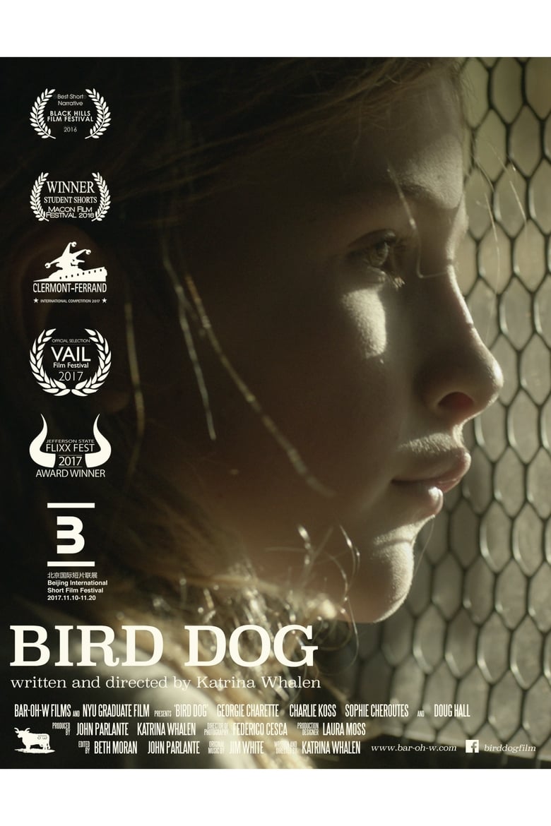 Poster of Bird Dog