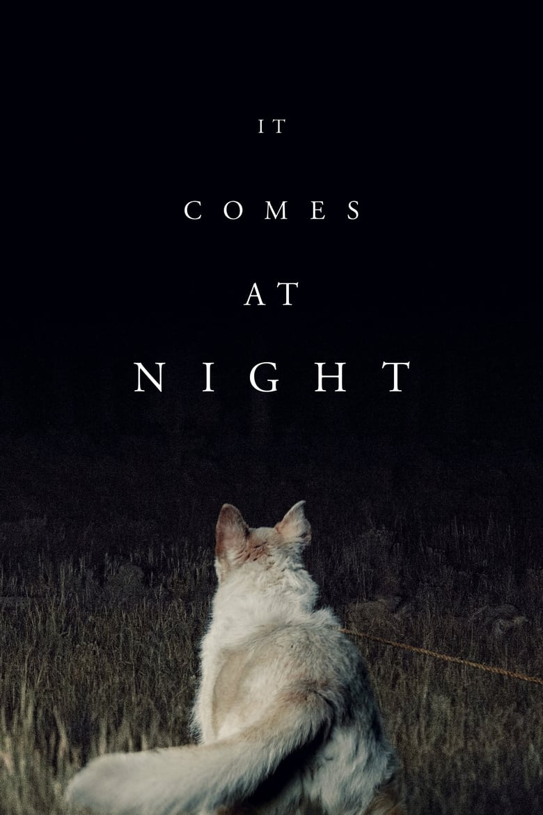 Poster of It Comes at Night