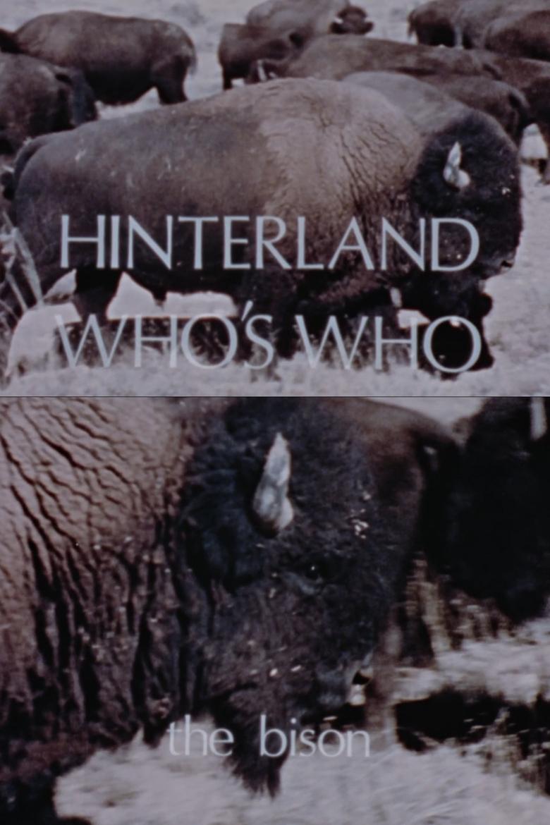 Poster of Hinterland Who's Who: The Bison