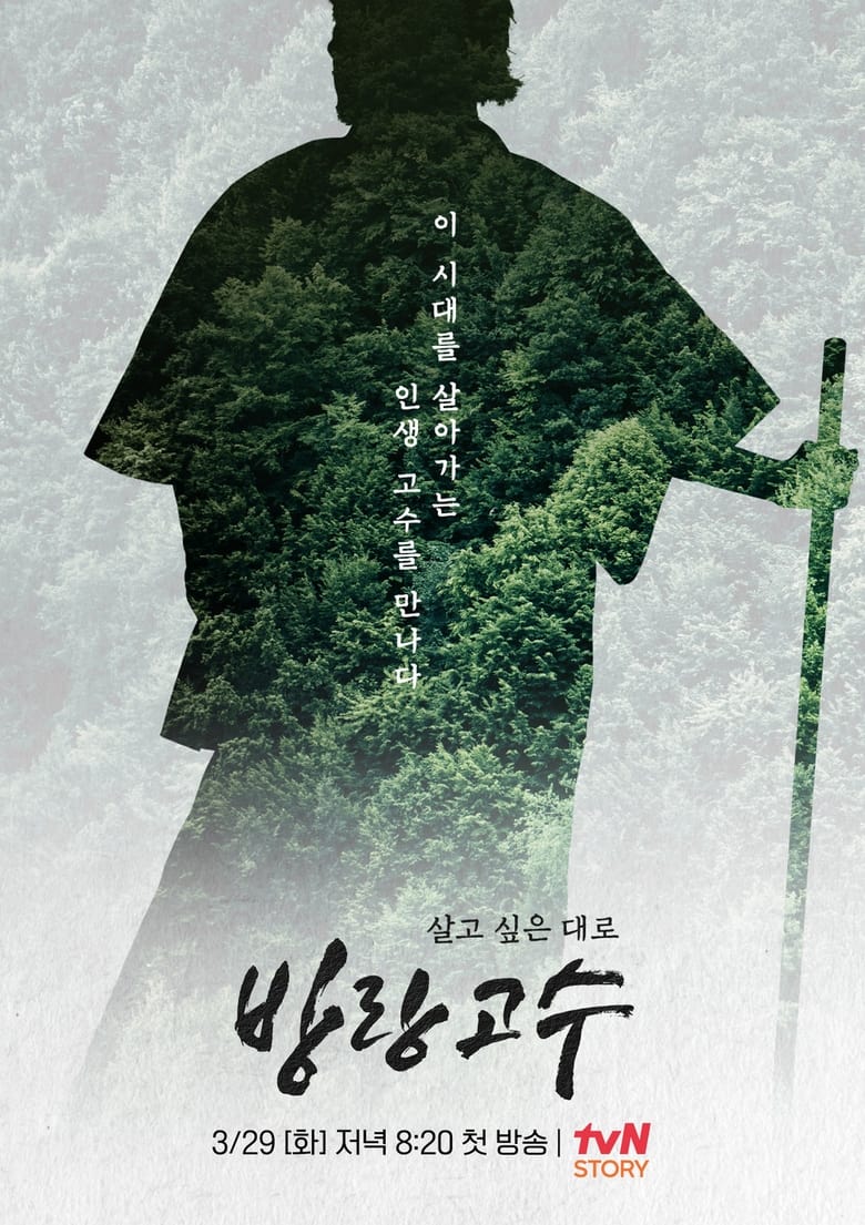 Poster of 방랑고수