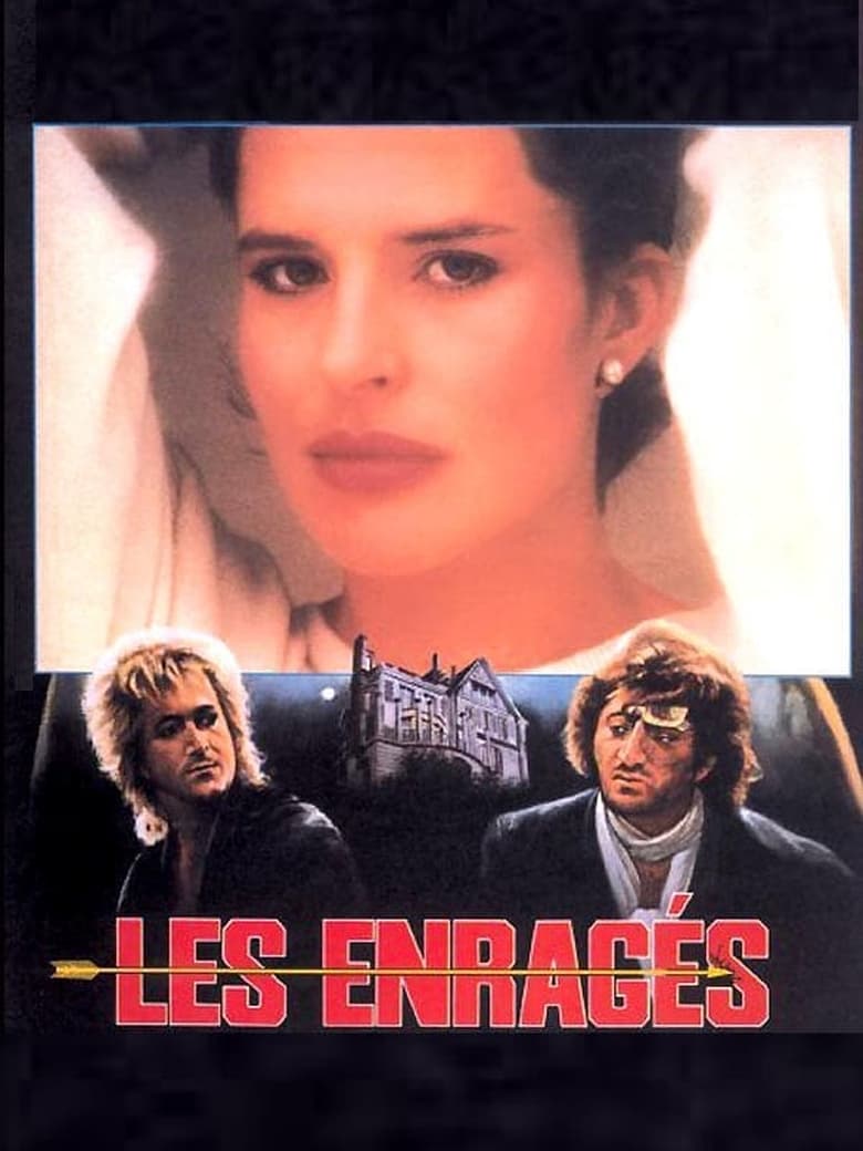 Poster of Les enragés