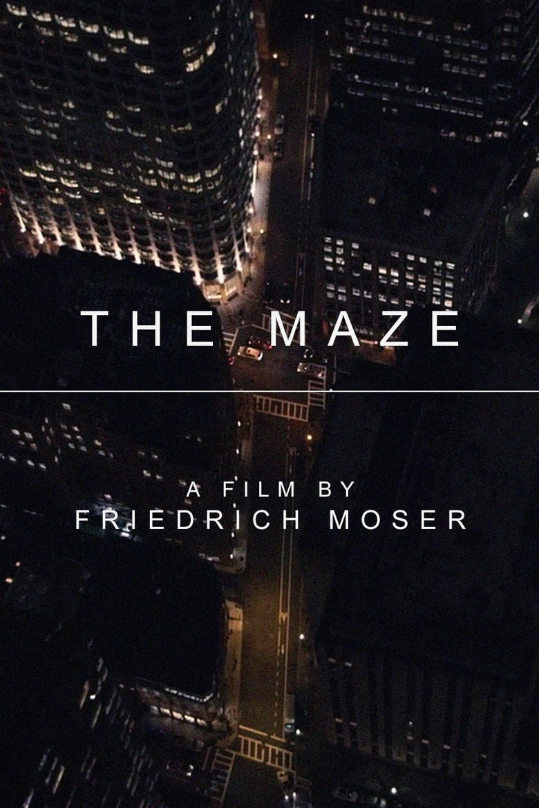 Poster of The Maze