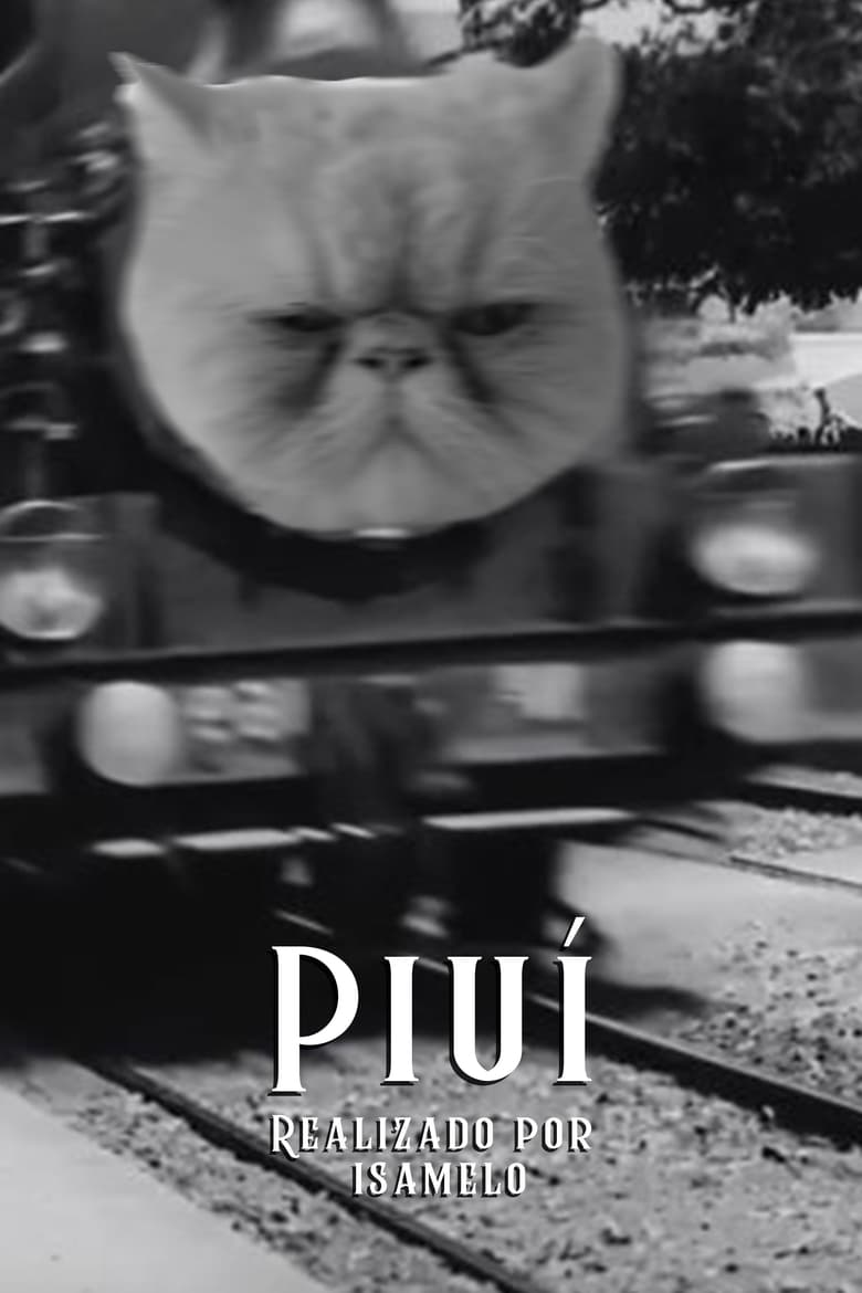 Poster of Piuí