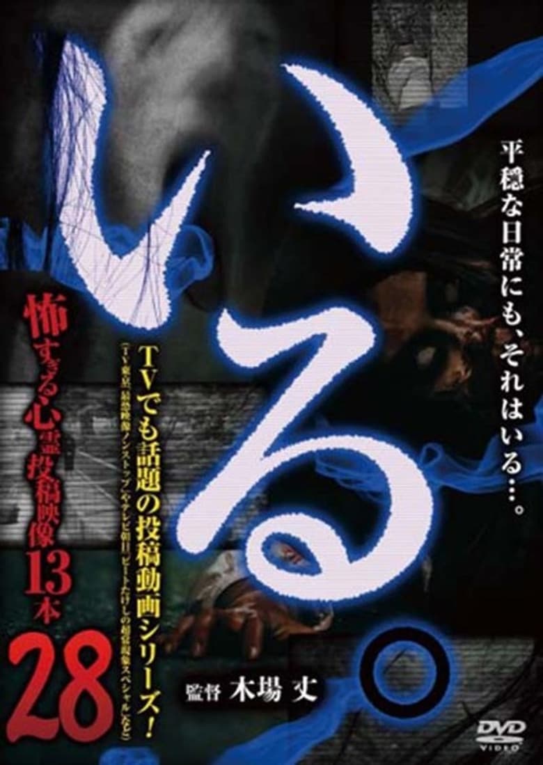 Poster of 「Iru.」~ Kowasugiru Tōkō Eizō 13-hon ~ Vol.28