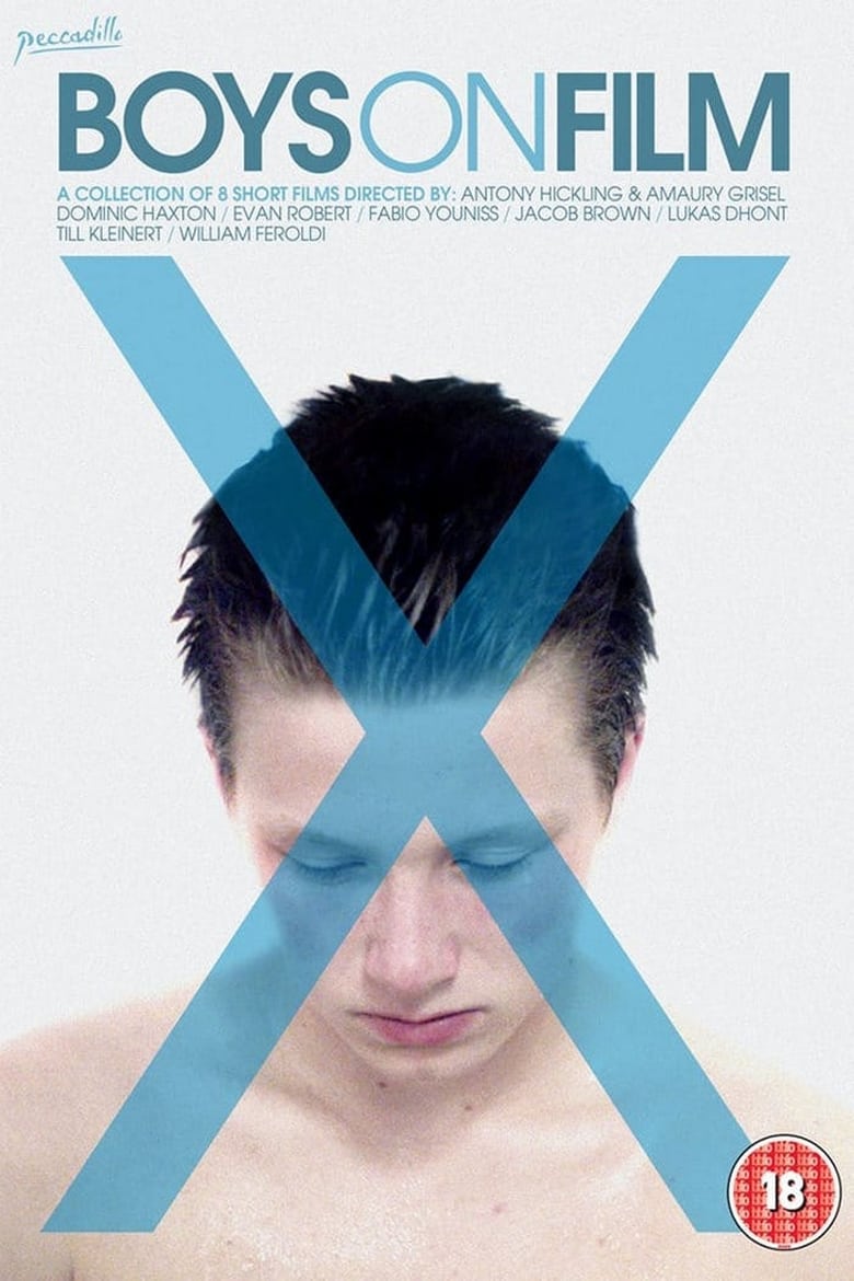 Poster of Boys On Film X