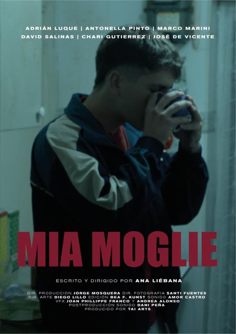 Poster of Mia Moglie