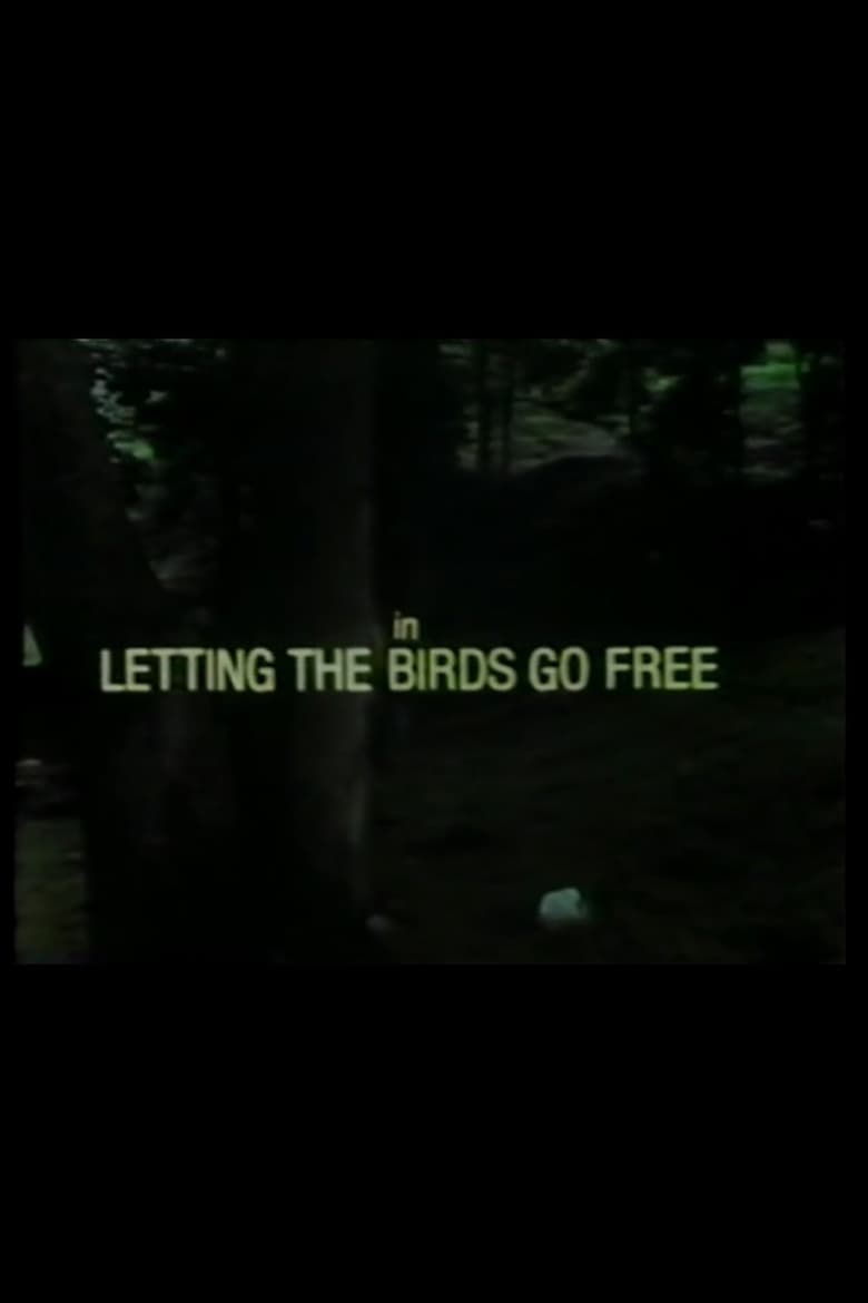 Poster of Letting the Birds Go Free