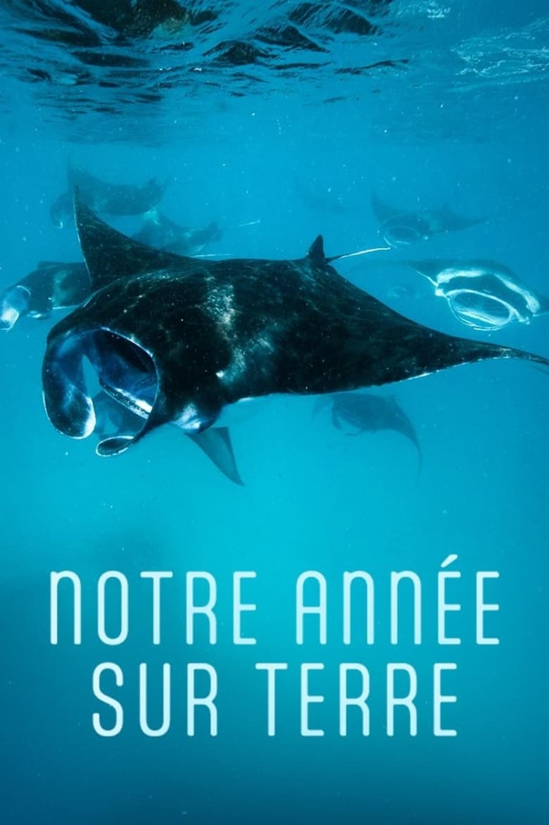 Poster of Notre année sur Terre