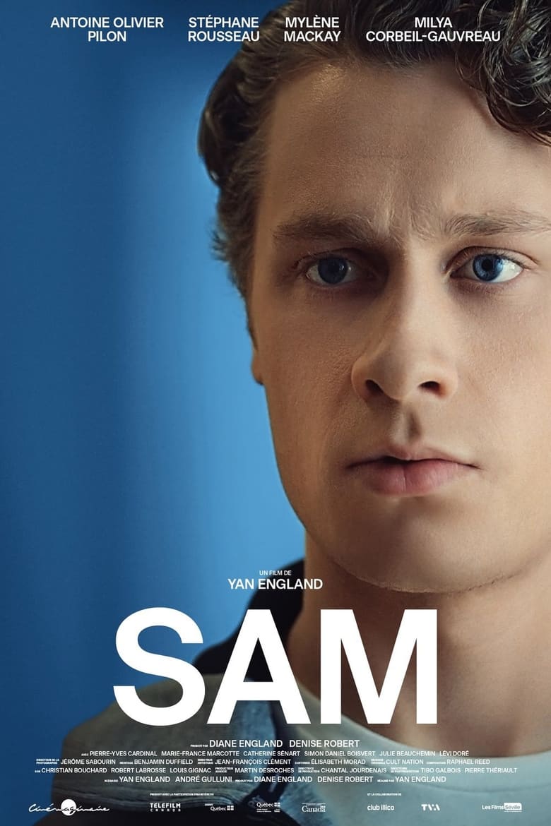 Poster of Sam