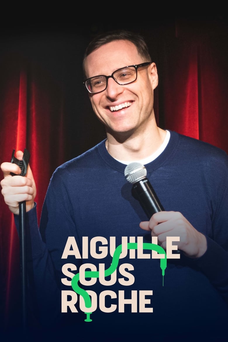 Poster of Aiguille sous roche