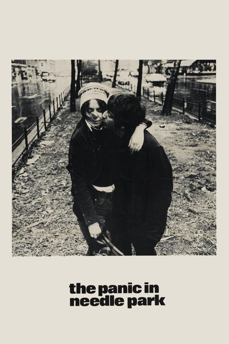 Poster of The Panic in Needle Park