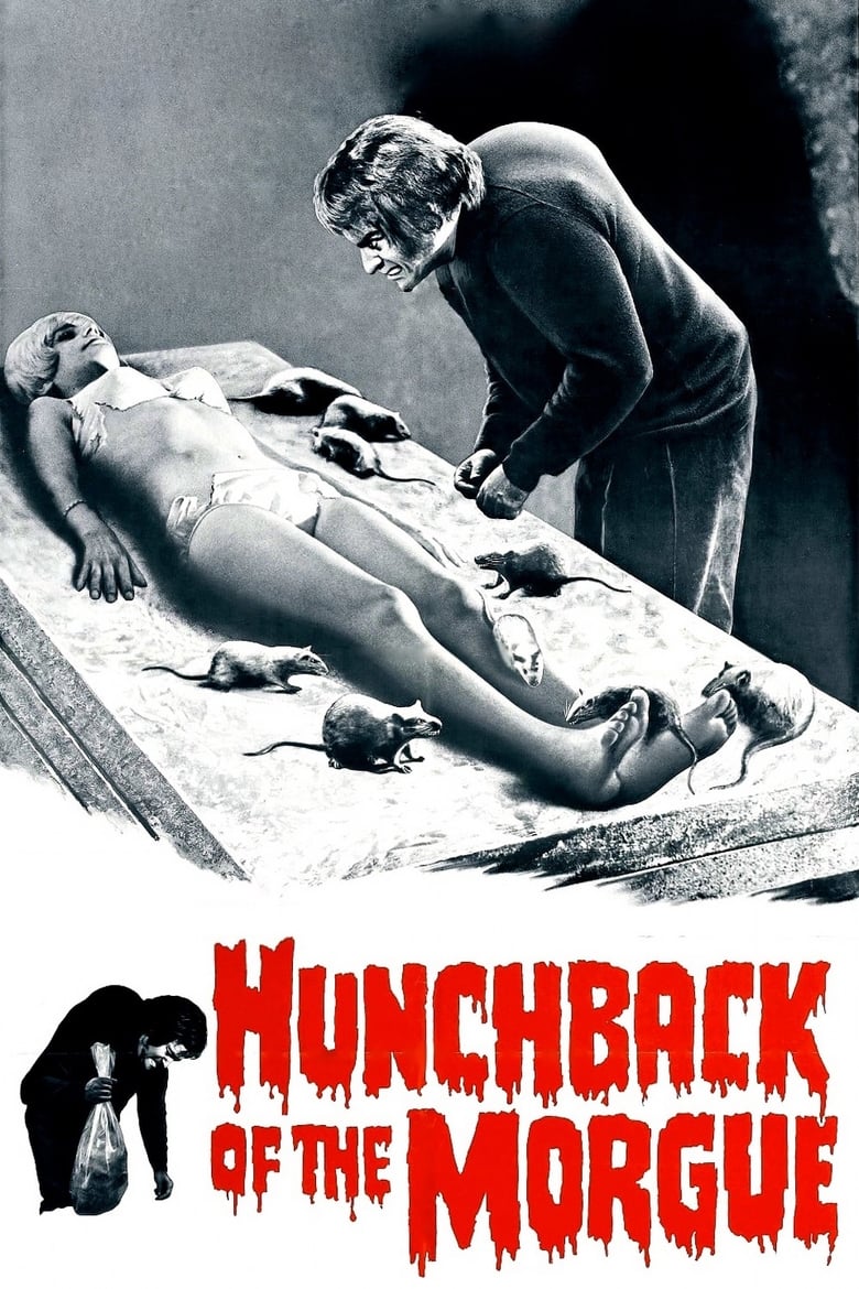 Poster of Hunchback of the Morgue