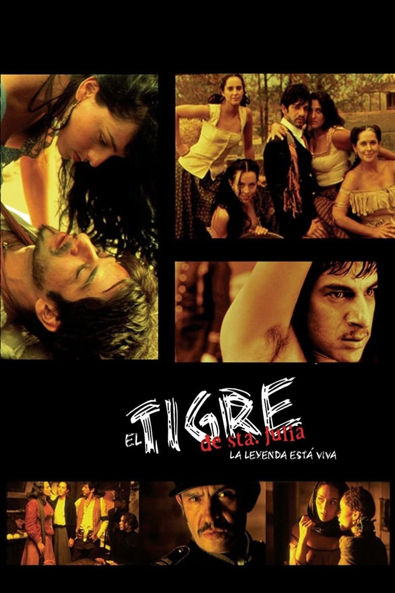 Poster of El tigre de Santa Julia