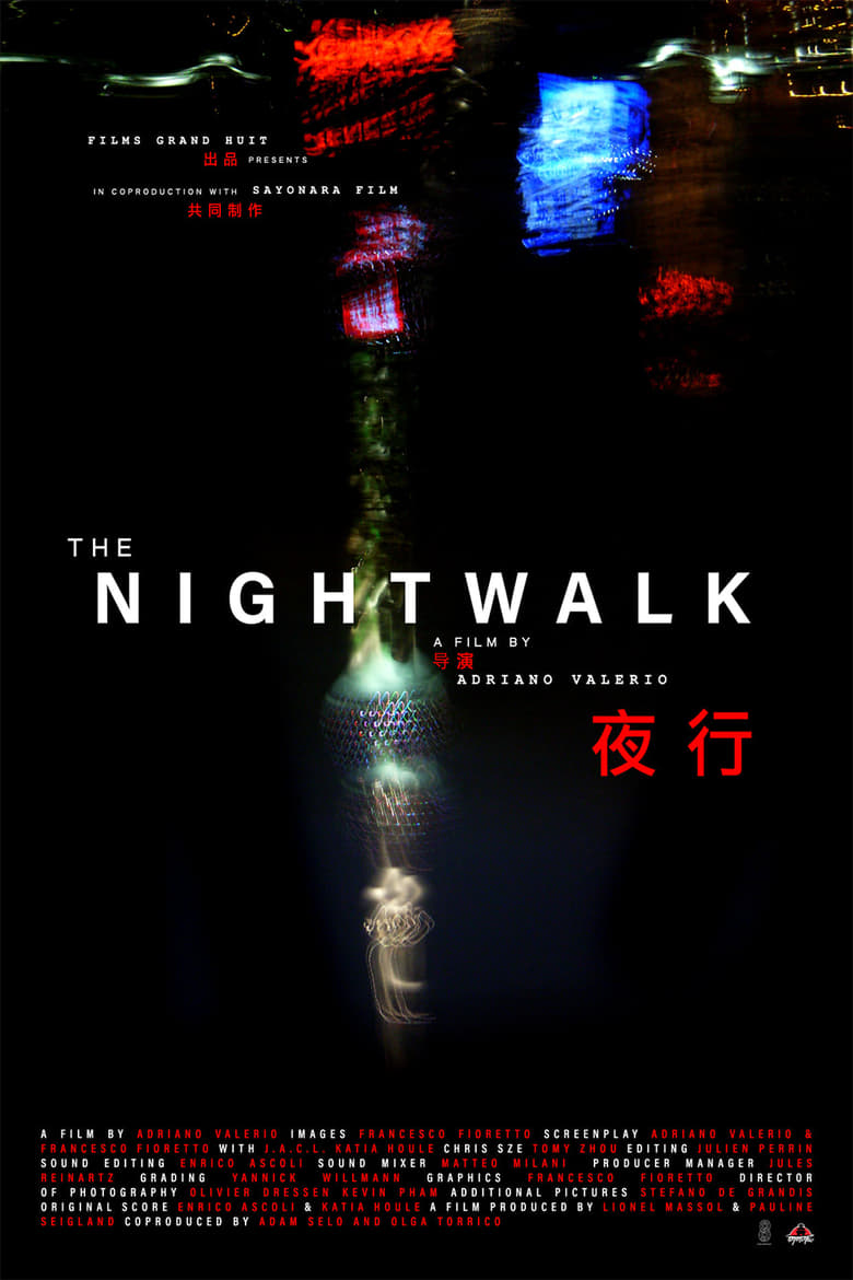 Poster of The Nightwalk