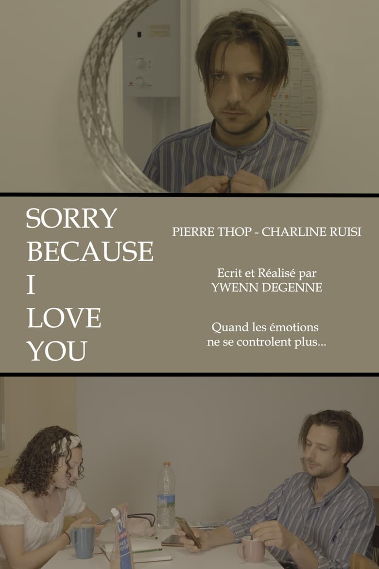 Poster of Sorry Because I Love You