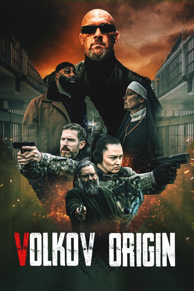 Poster of Volkov Origin