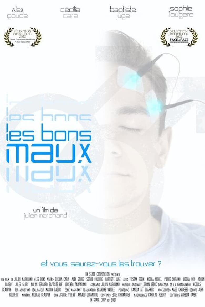 Poster of Les bons maux