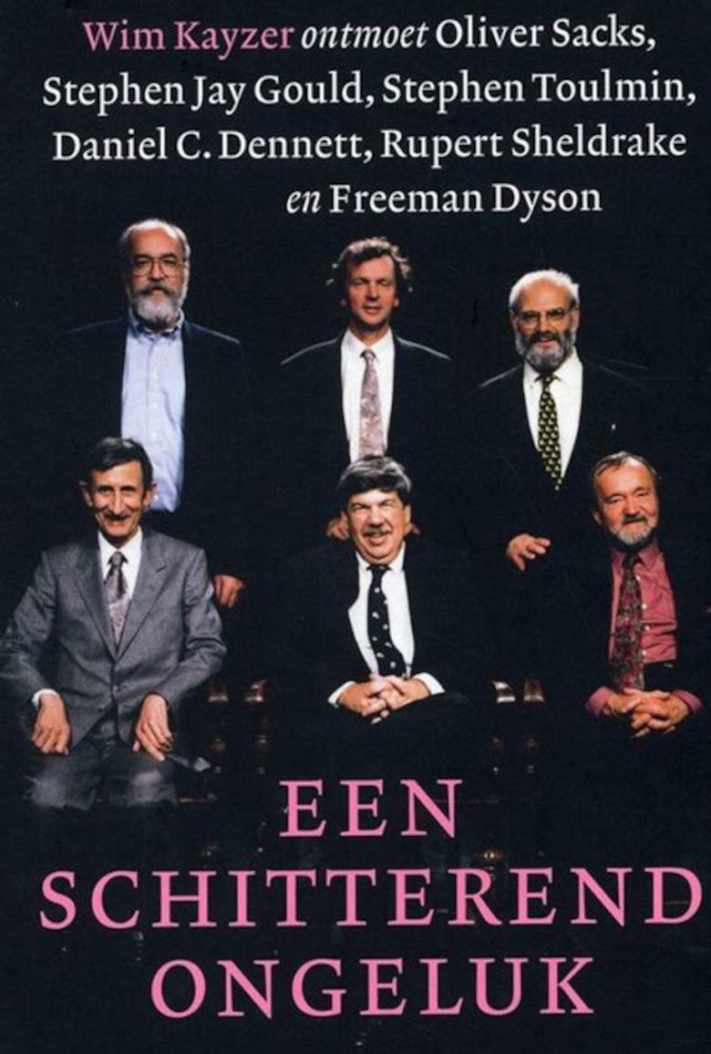 Poster of een schitterend ongeluk