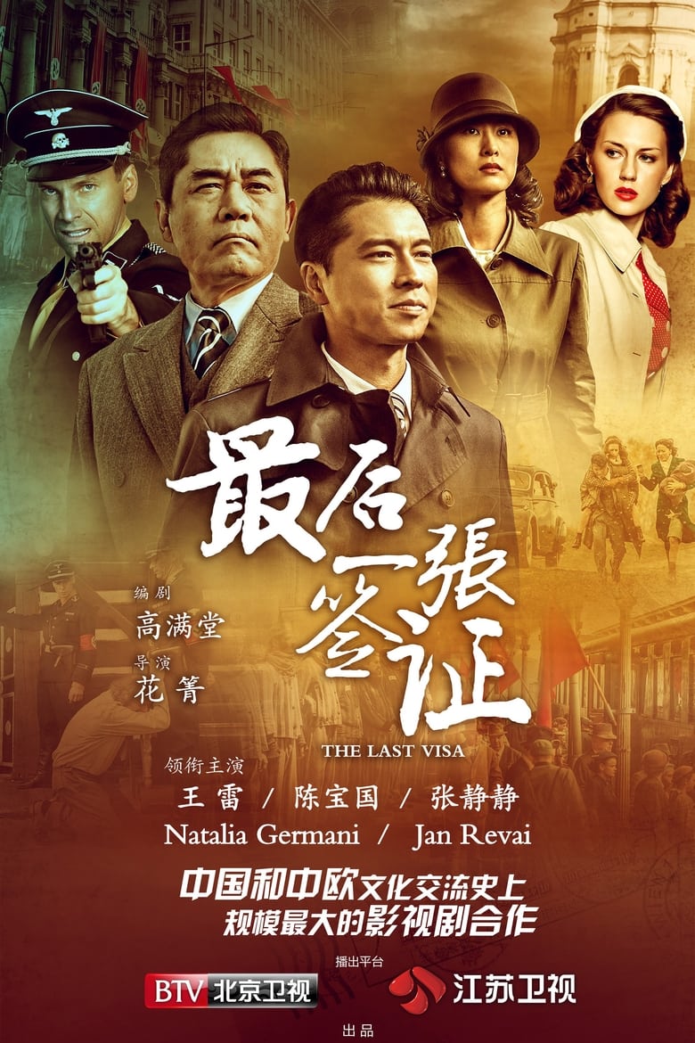 Poster of The Last Visa