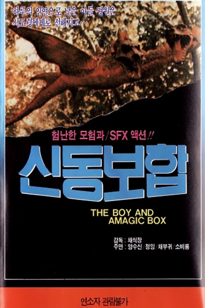 Poster of The Boy and a Magic Box