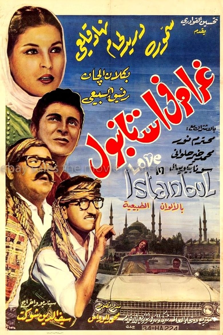 Poster of Love in Istanbul