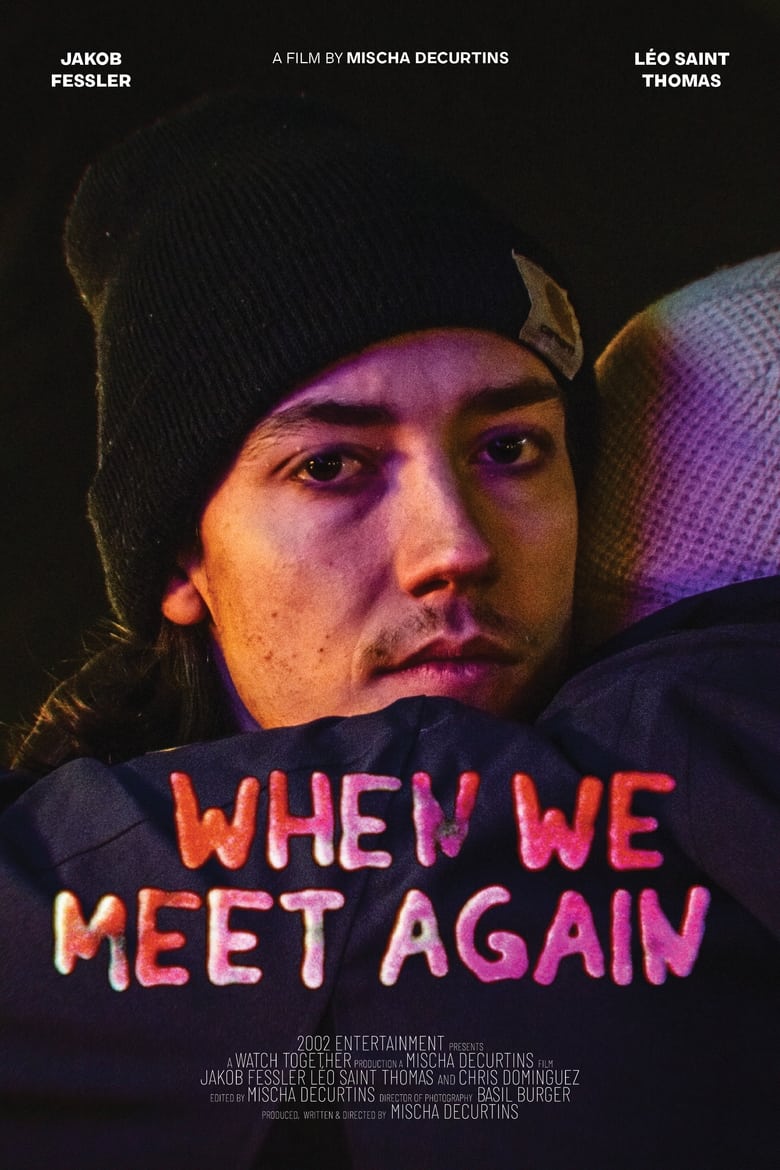 Poster of When We Meet Again