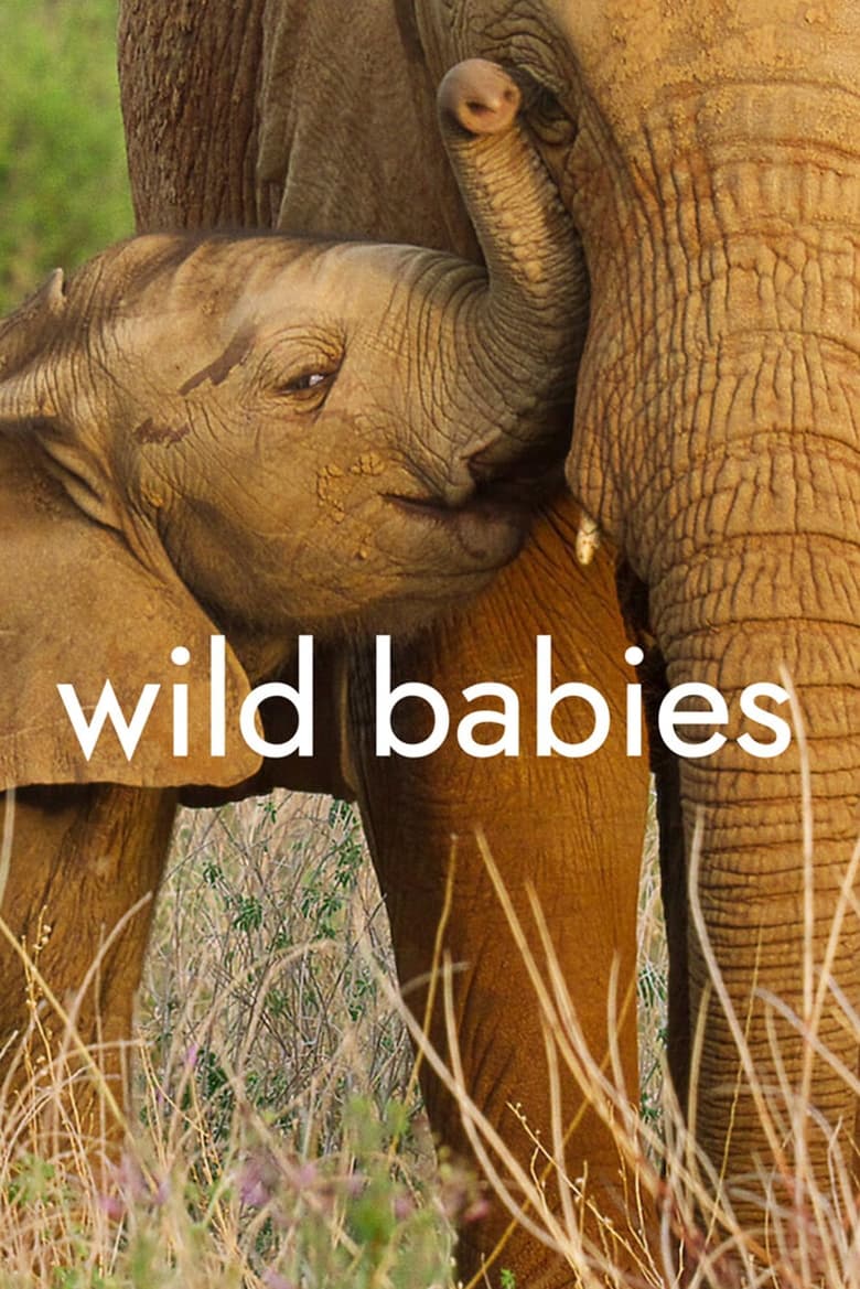 Poster of Episodes in Wild Babies - Season 1 - Season 1