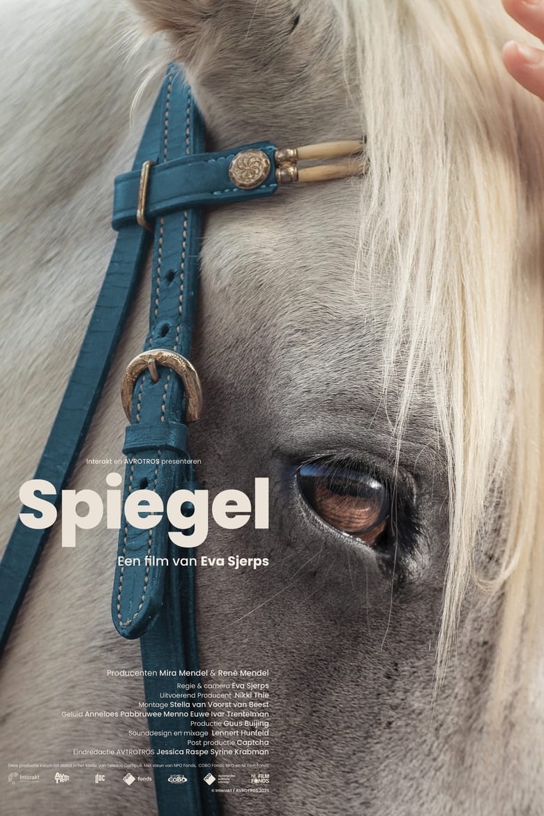 Poster of Spiegel