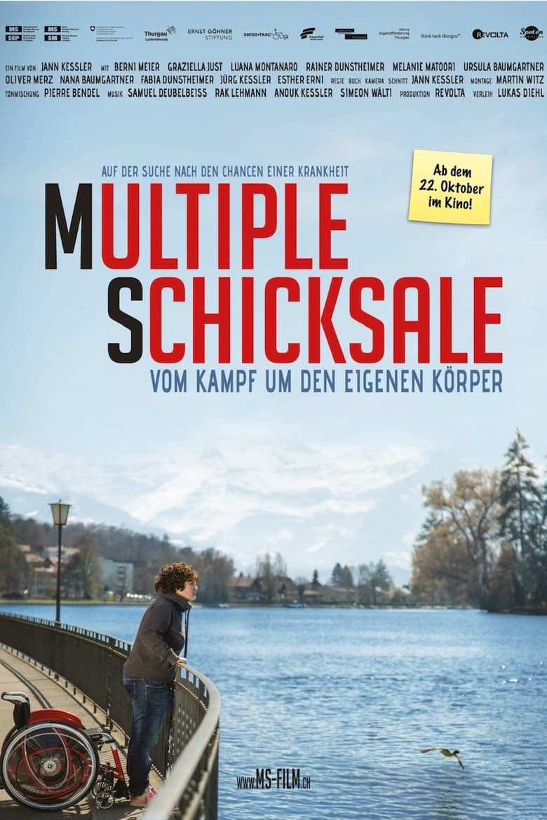 Poster of Multiple Schicksale