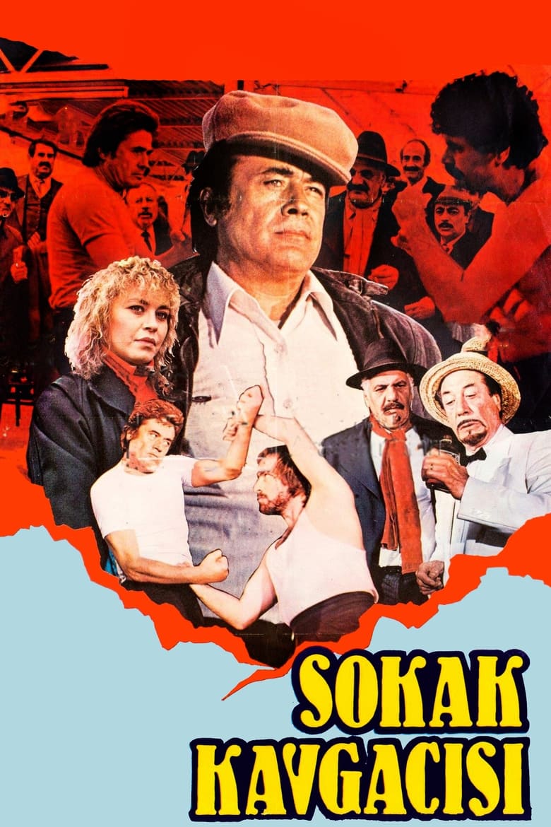 Poster of Sokak Kavgacısı