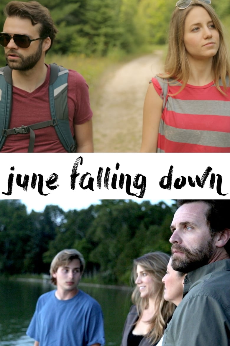 Poster of June Falling Down