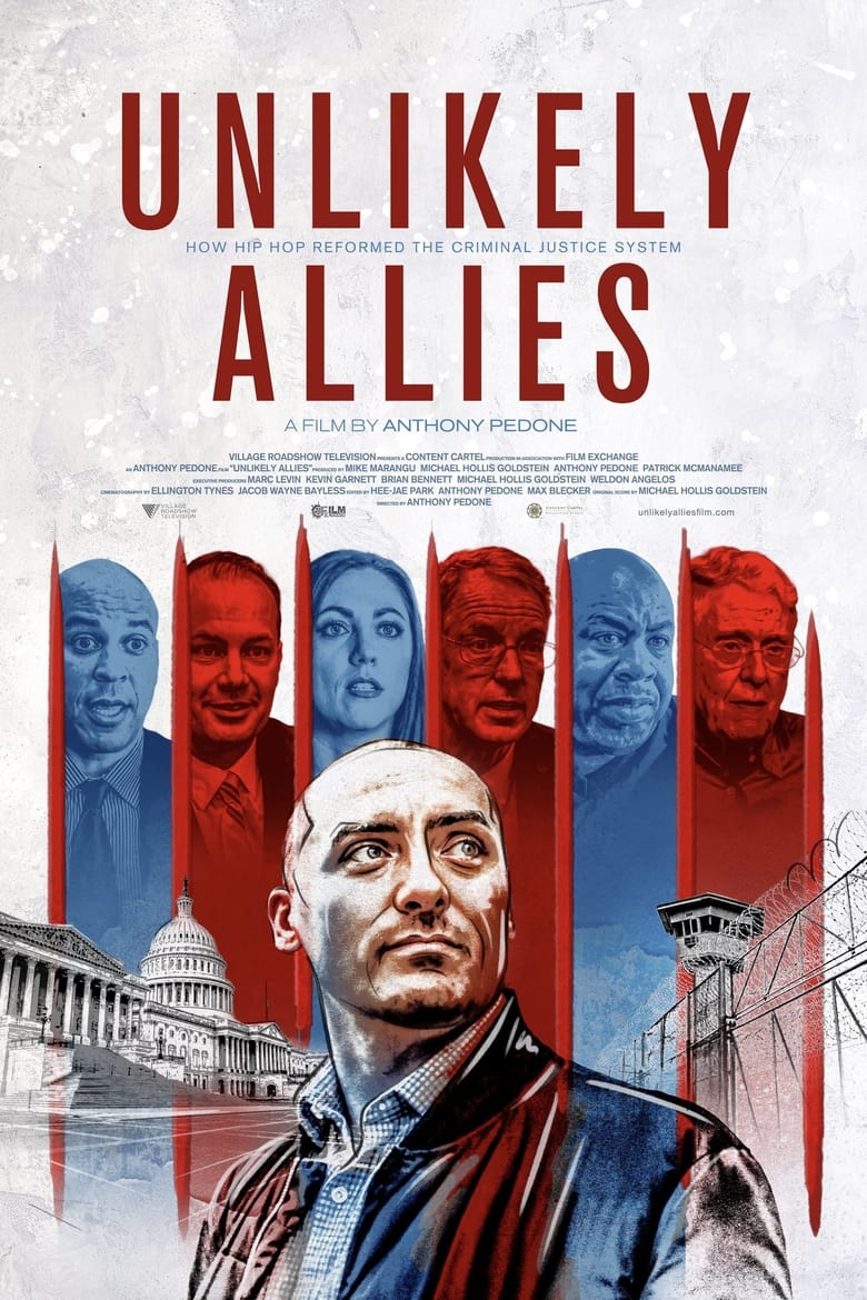 Poster of Unlikely Allies