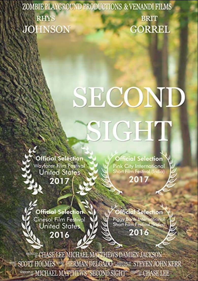 Poster of Second Sight