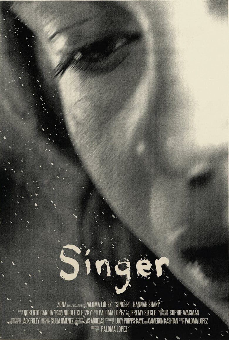 Poster of Singer