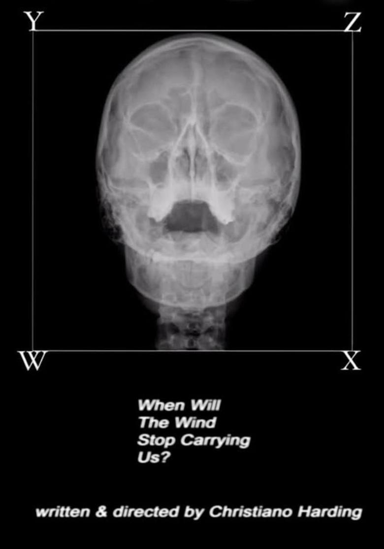 Poster of When Will The Wind Stop Carrying Us?