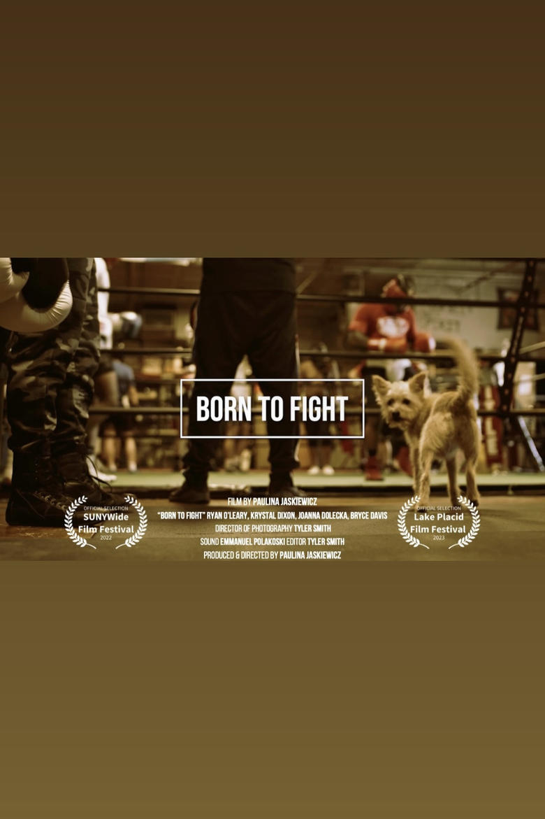 Poster of Born to Fight