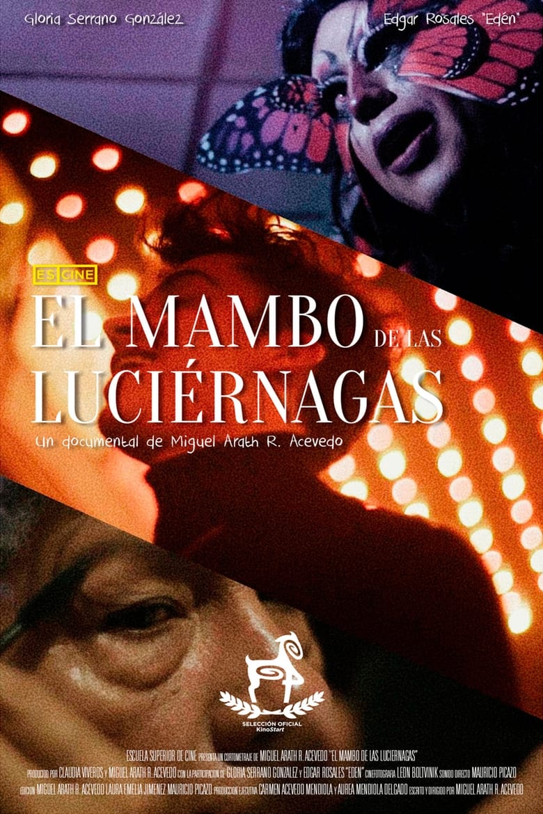 Poster of El mambo de las luciérnagas