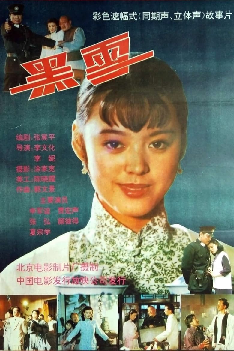 Poster of 黑雪