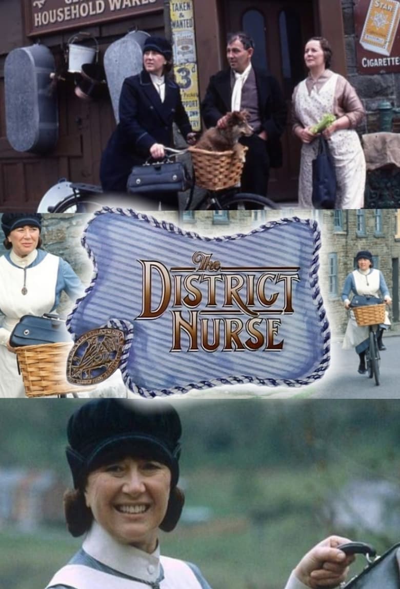 Poster of The District Nurse