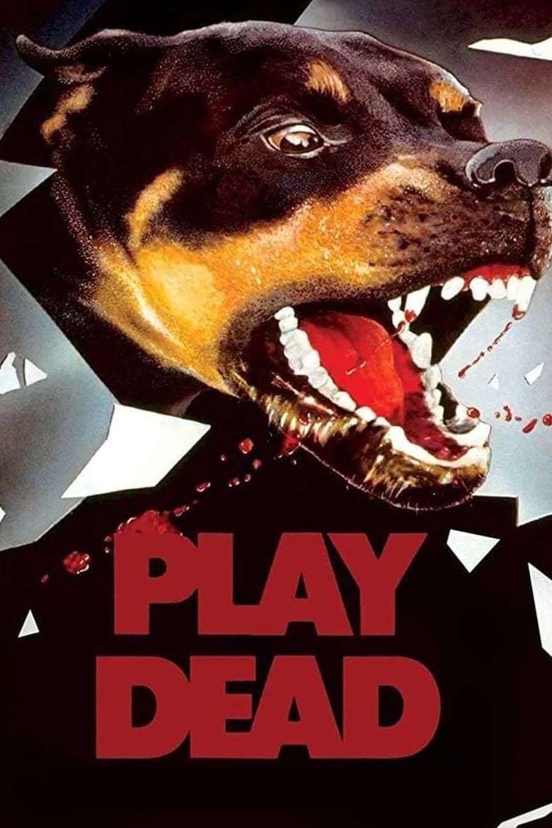 Poster of Play Dead