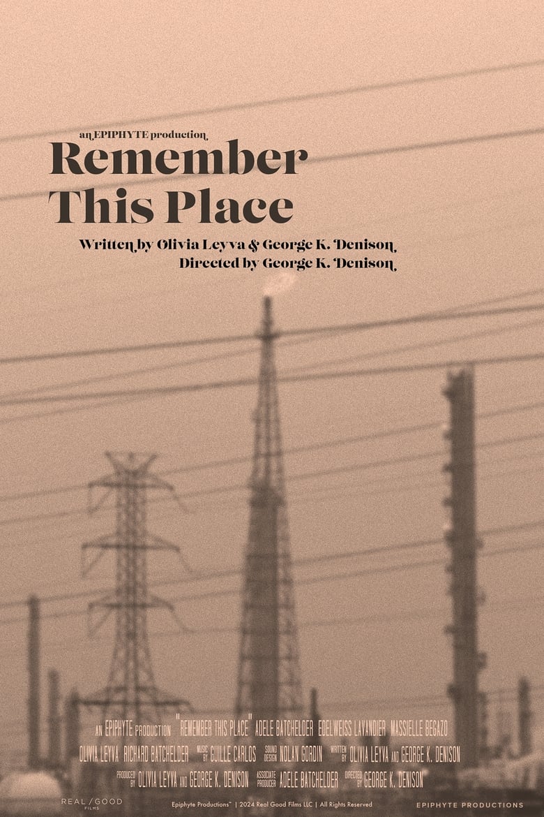 Poster of Remember This Place