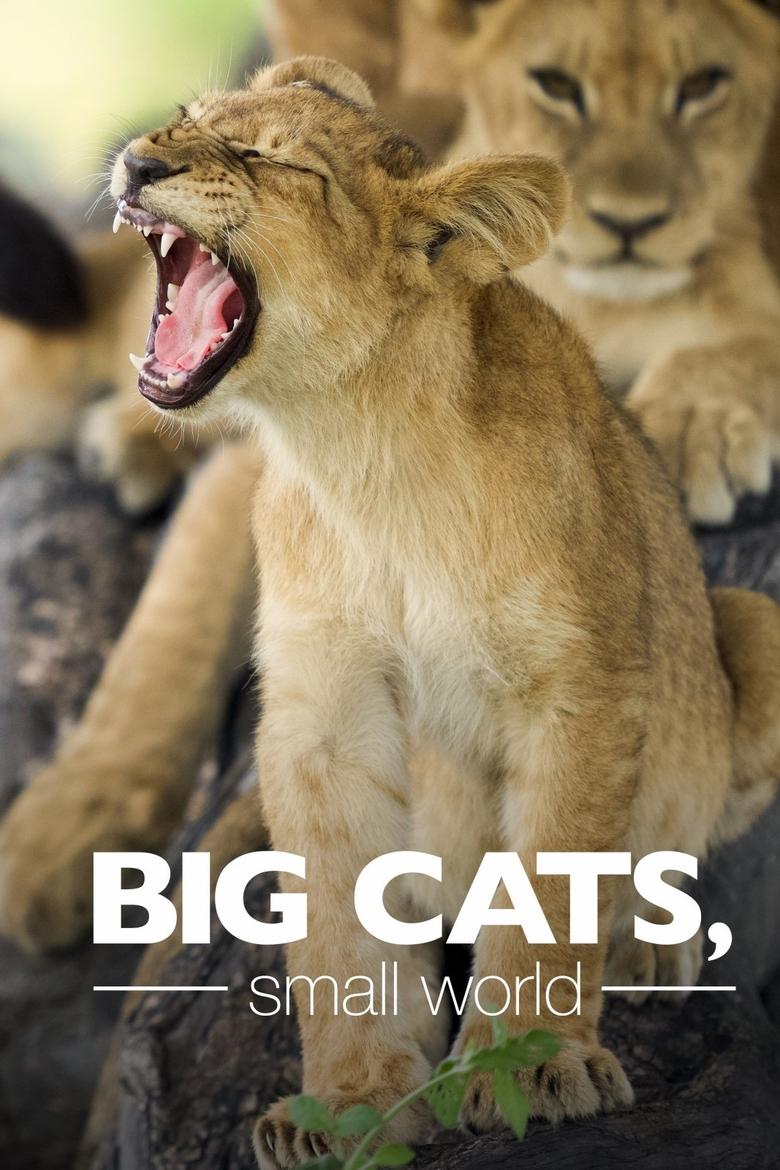 Poster of Big Cats, Small World