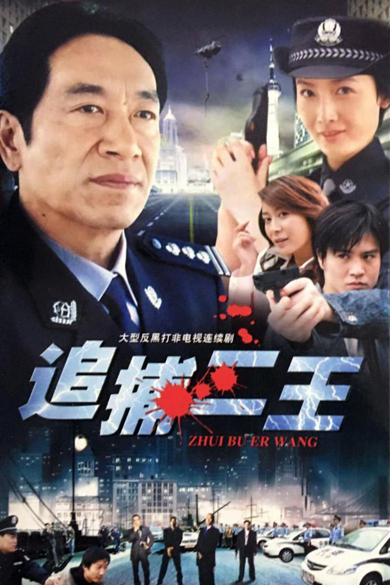 Poster of 追捕二王