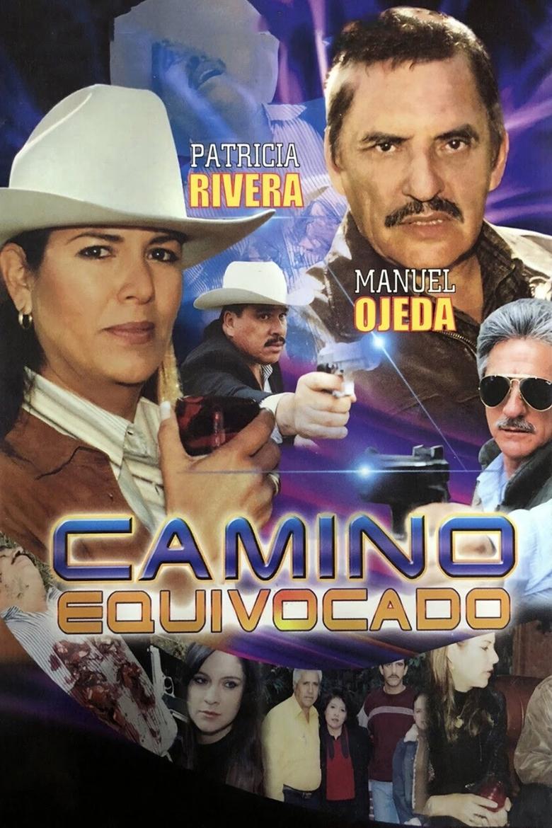 Poster of Camino equivocado