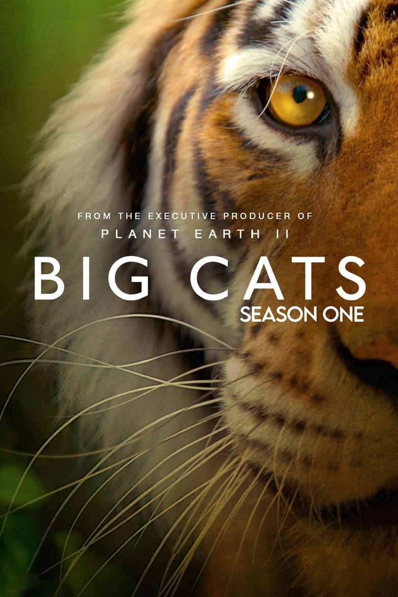 Poster of Episodes in Big Cats - Miniseries - Miniseries