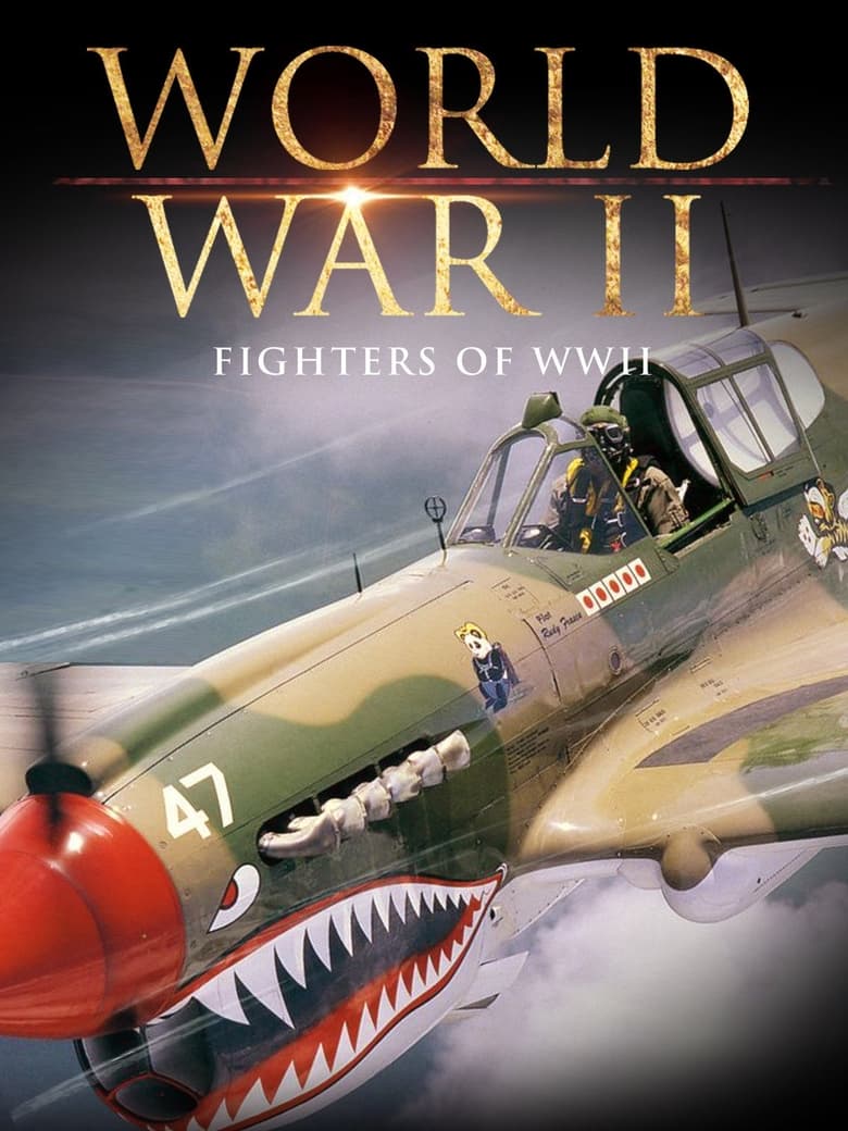 Poster of Fighters of WWII