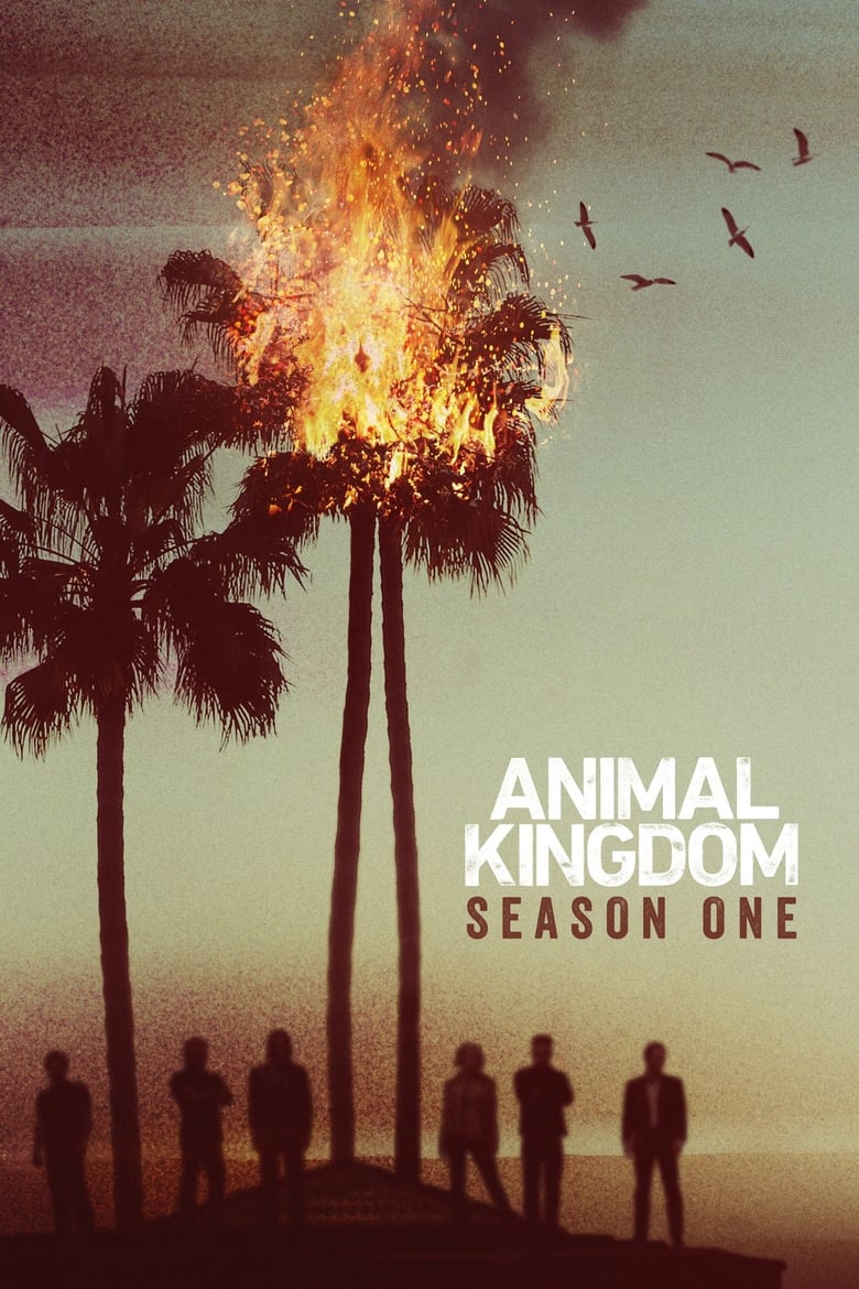 Poster of Episodes in Animal Kingdom - Season 1 - Season 1