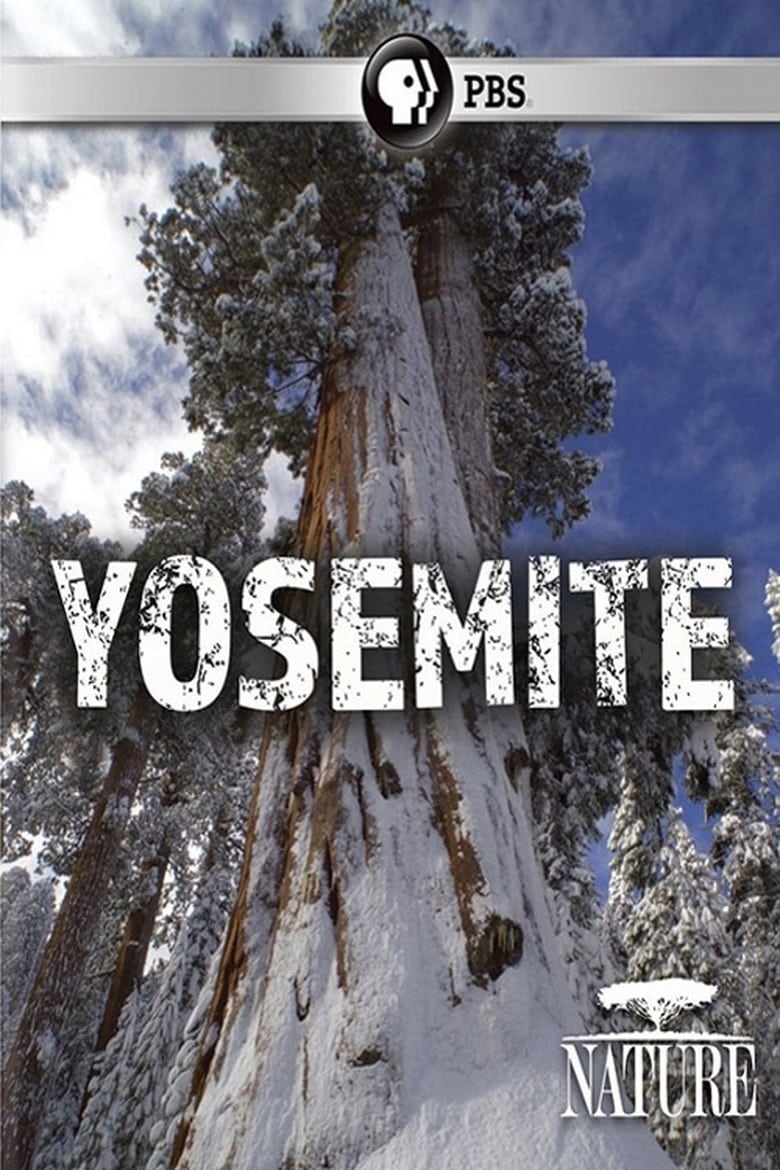 Poster of Nature: Yosemite